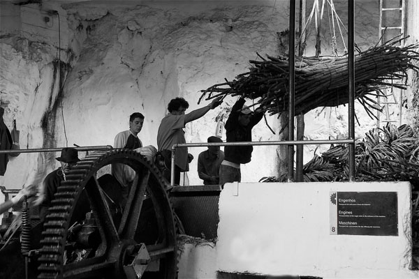 Sugar mill 01b