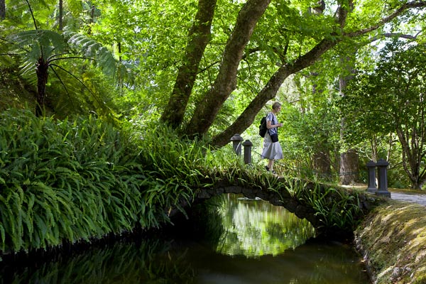 Terra Nostra - Waterway